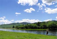 Mongolian horse | mako.mn